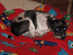 Splash3.JPG Splash3.JPG